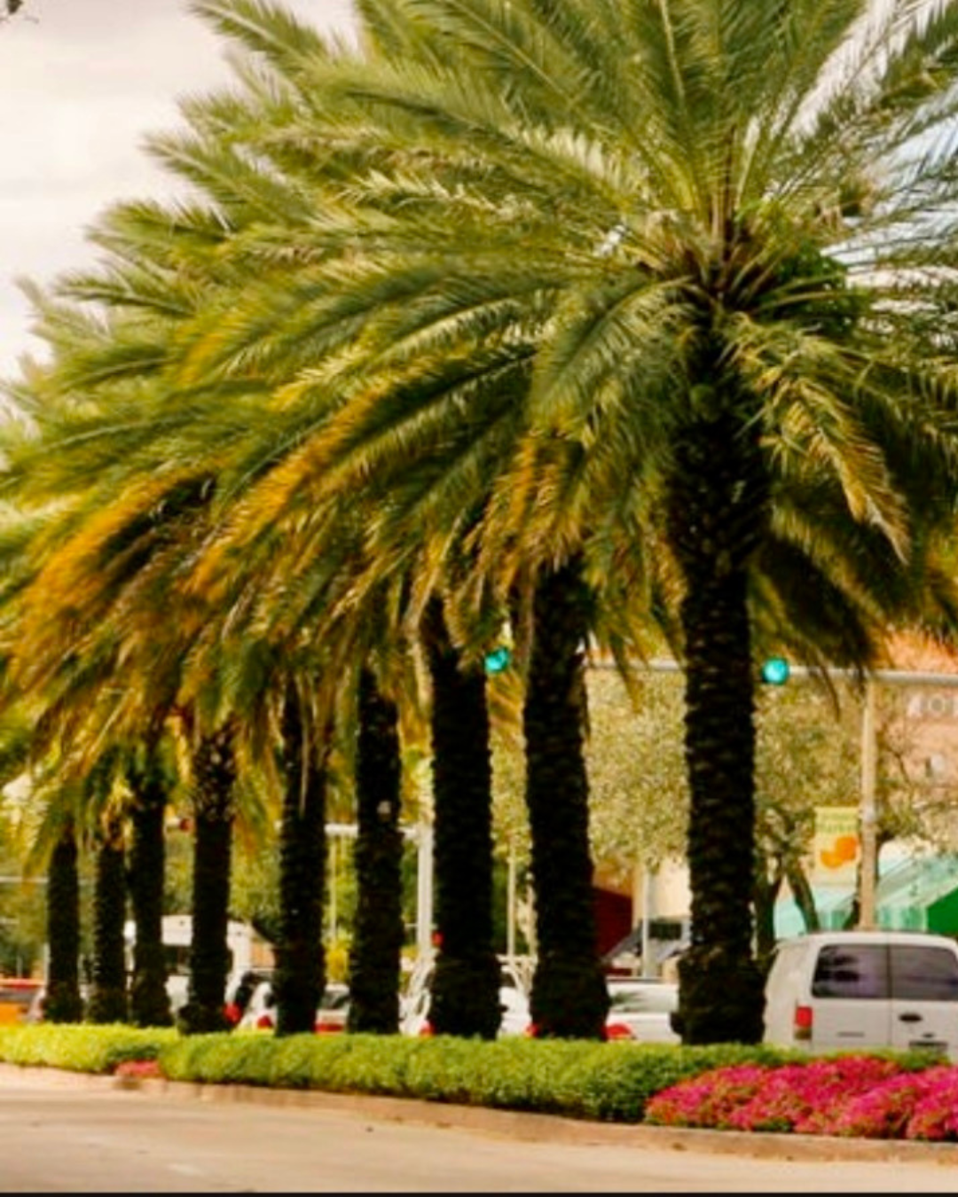 Experienced + Organized Housekeeper/Cook Needed For Coral Gables FL Family