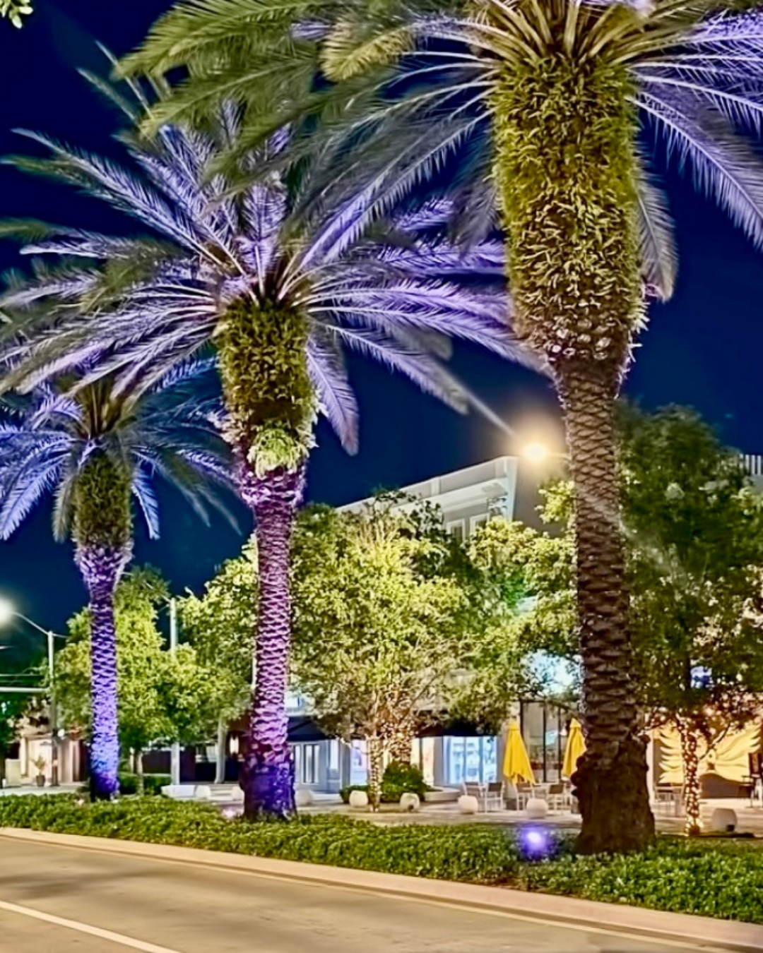 Exceptional + Multidimensional Nanny Needed For Coral Gables FL Family